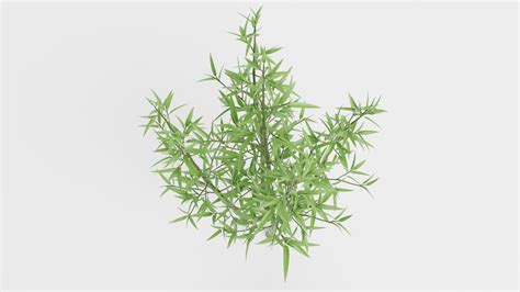 3d Model Bamboo Bush Turbosquid 2226257