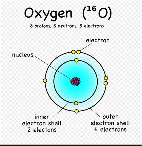 Oxygen Diagram Atom Ossigeno Atomic Struttura Atomica