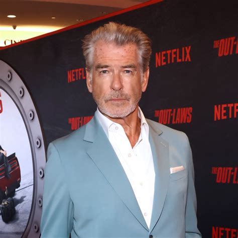 Pierce Brosnan Se Enfrenta A Una Pena Grave Por Entrar En Una Zona