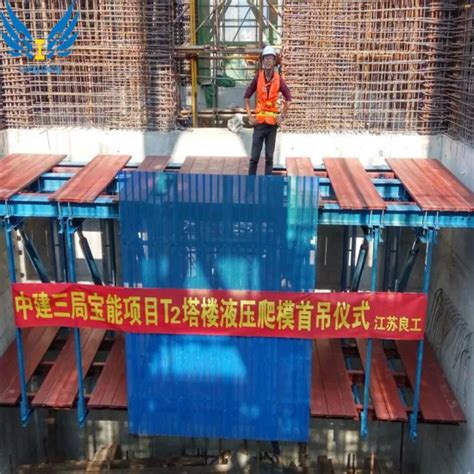 China Facotory Hydraulic Auto Climbing Formwork System For Pier And