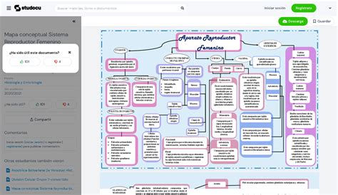 Mapa Conceptual Sistema Reproductor Femenino Aparato Reproductor