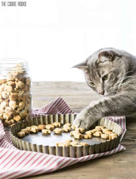 Homemade Cat Treats Recipe - 3 Ingredient Salmon Cat Treats