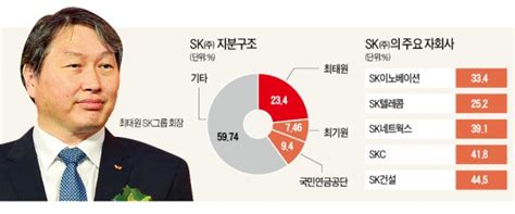 최태원 2년 만에 Sk주 등기이사 복귀 한국경제