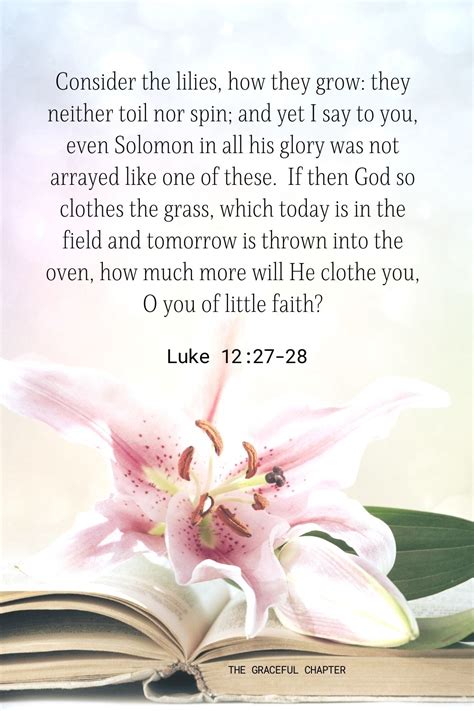 Flower Pictures With Scripture Verses Best Flower Site