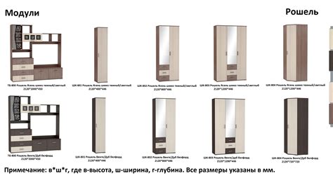 Модульная гостиная «Рошель» (ТБ-800М, ШК-802) ТМ Сурская мебель купить ...