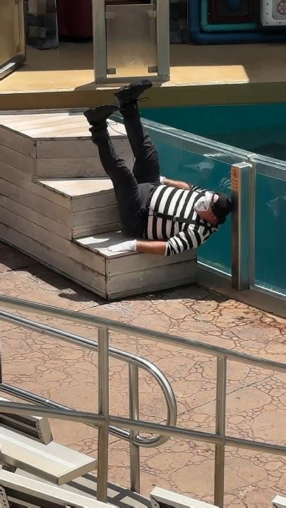 Wait… This Angle 😂🤣 Tom Mime Seaworld Antics Seaworldmime Funny