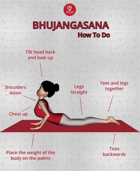 Bhujangasana Yoga Cobra Pose Steps And Benefits For Healthy Life