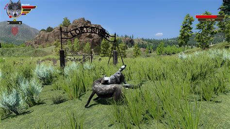 Wolfquest Anniversary Lost River On Steam