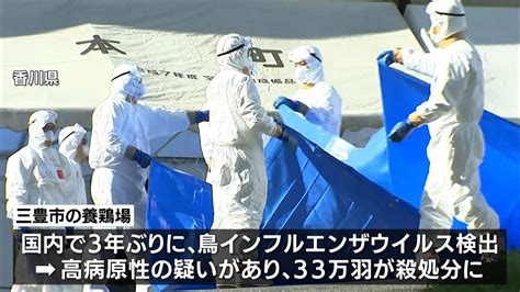 香川県で3年ぶり発生 鳥インフル防疫対策会議（静岡県） Youtube