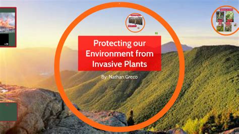 Protecting Our Environment From Invasive Plants By Nathan Greco On Prezi