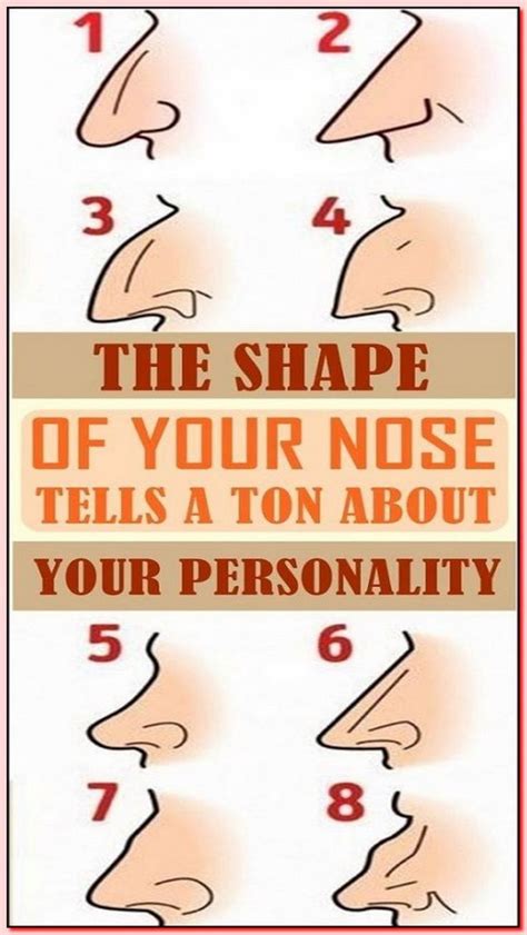 Your Nose Shape Tells Nose Shapes Nose Personality