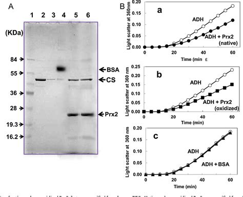 Figure From Structural And Functional Analysis Of Native