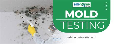 Mold Testing Mold Detection And Prevention In Homes