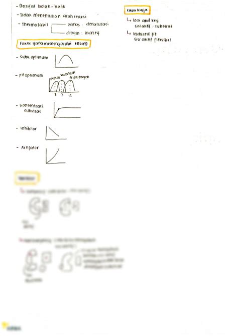 Solution Metabolisme Les Edited Studypool