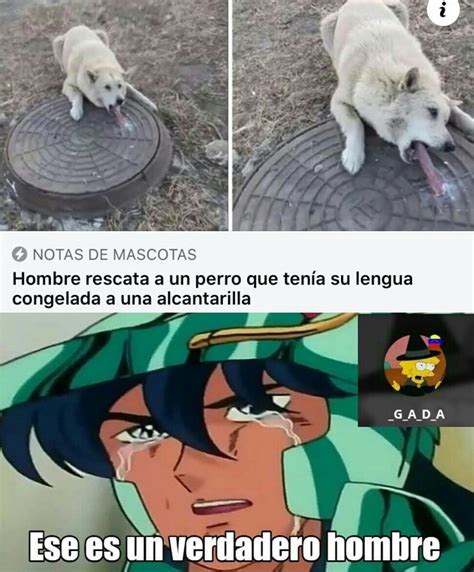 Recuperé la fe en la humanidad Meme subido por G A D A Memedroid