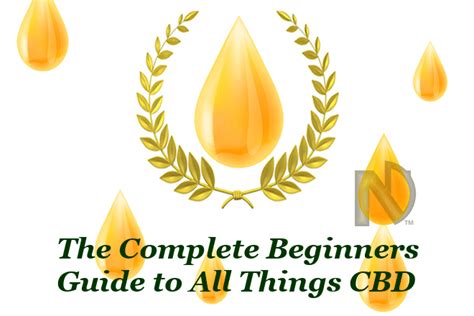 Cbd For Beginners Your Ultimate Guide