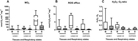 Effects Of Hypoxia And Reoxygenation On Mitochondrial Functions And