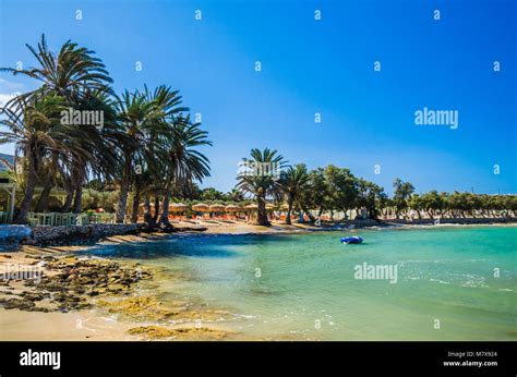 Agia Irini Beach Paros Island Greece Beautiful Greek Beach With