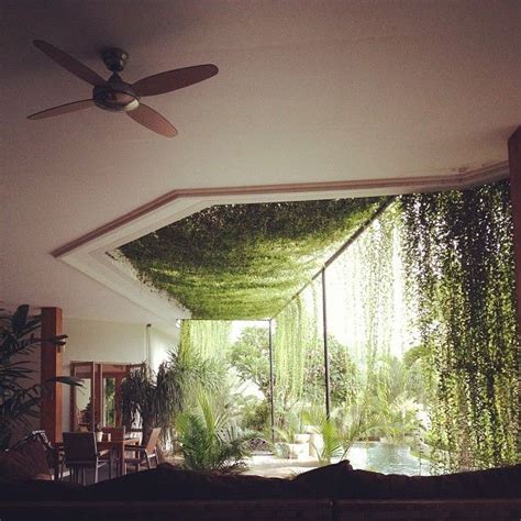 Moon to Moon: Happy Hanging House Plants