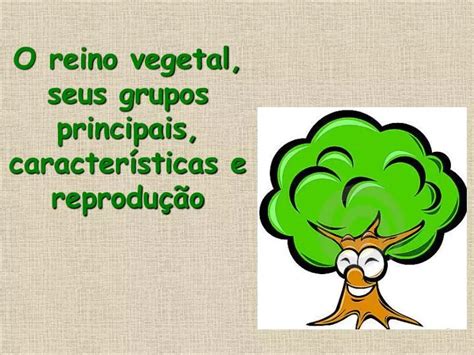 Ppt O Reino Vegetal Seus Grupos Principais Caracter Sticas E