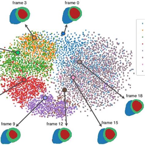 Tsne Visualisation Of The Latent Space Of Generated Anatomical