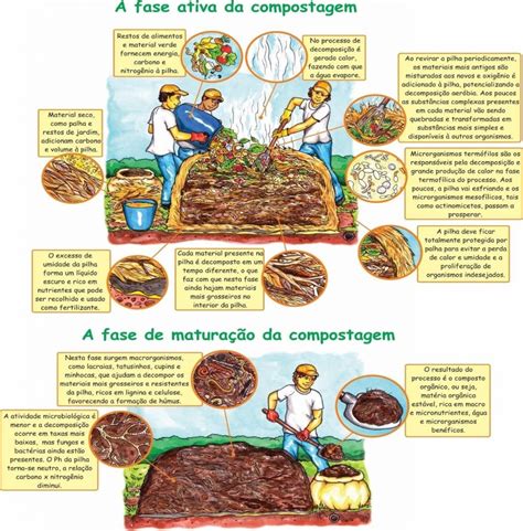 Compreendendo A Compostagem Em Suas Dimensões Doméstica