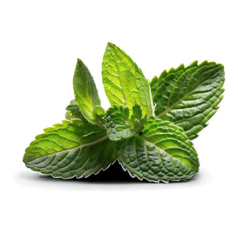 Download Mint A