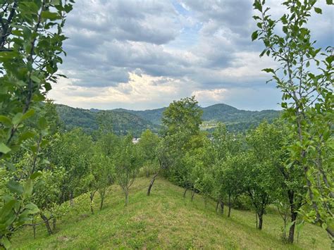 Teren Telega ( Prahova), aproape de Câmpina Telega • OLX.ro