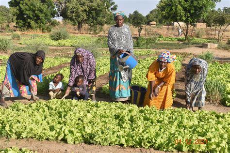 428 Mali Group Nature Ökologischer Gemüseanbau Marie Schlei Verein e V