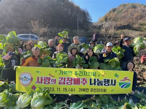 가북면 주민자치회 ‘사랑의 김장배추 나눔 행사 개최