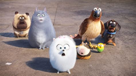 secret life of pets voices cast 2