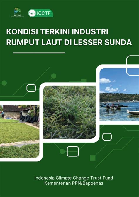 Kondisi Terkini Industri Rumput Laut Di Lesser Sunda Icctf