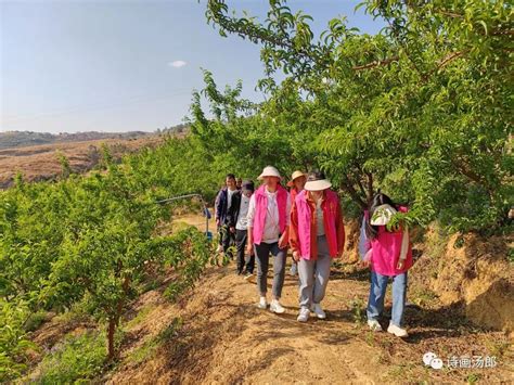 汤郎乡：走进“田间课堂”上好青年干部乡村振兴“实践课” 关注森林