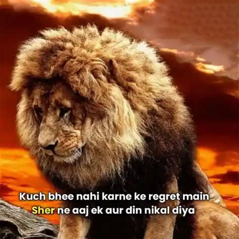 Why Sher Meme Trending : आखिर क्यूँ हो रहा है शेर मीम इतना वायरल आइए जाने है कारण | Baabji