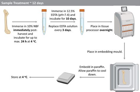 Cell Press Star Protocols