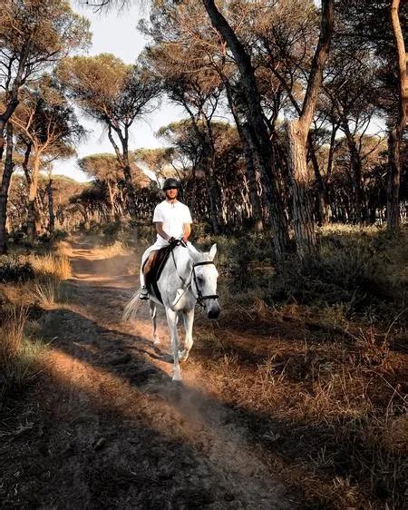 Passeggiata A Cavallo Nella Pineta Di Ostia Antica Con Degustazione