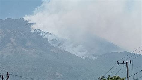 Kebakaran Hebat Kembali Landa Hutan Lereng Gunung Lawu