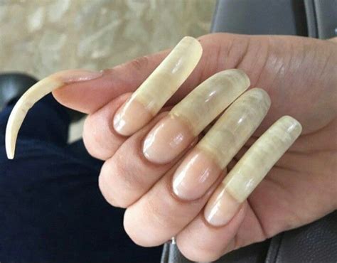 Pin By Percy 201 6410 On Curved Nails Long Natural Nails Curved