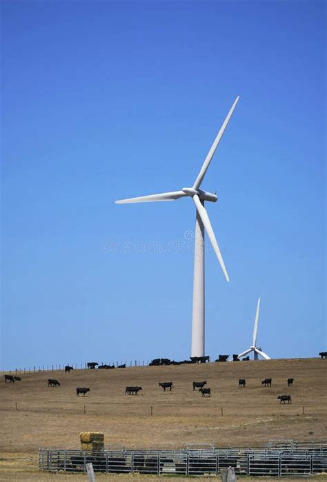 Wind Farm Turbines Renewable Clean Green Energy Stock Image Image