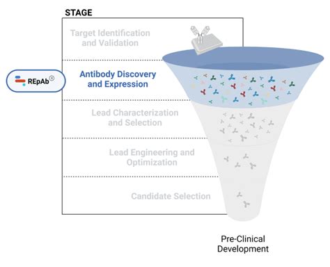 Antibody Drug Discovery From Target Id To Candidate Selection