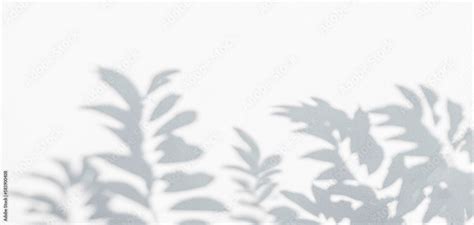 Leaf Shadow And Light On Wall Background Nature Tropical Leaves Tree Branch Plant Shade