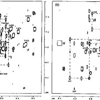 A The Anomeric Aromatic Region Of The 300 Ms 2D NOESY Spectrum Of The