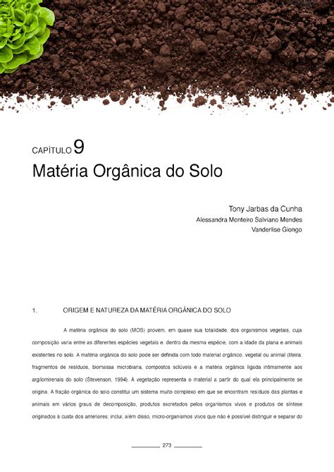 Matéria Orgânica do solo Matéria Orgânica do Solo