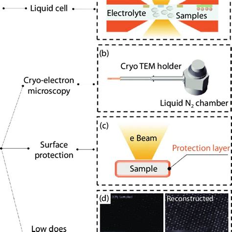 Challenges And Their Potential Solutions On Open Cell In Situ Tem For