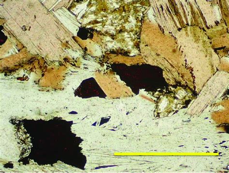 Metamorphic assemblage containing Mg-rich chlorite (lower), pale ...