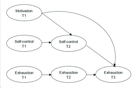 The Structural Focused Longitudinal Mediation Model T1 T2 And T3