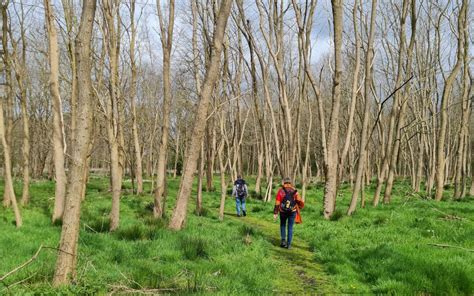 Wandelen Archieven Beleef Het Lage Noorden