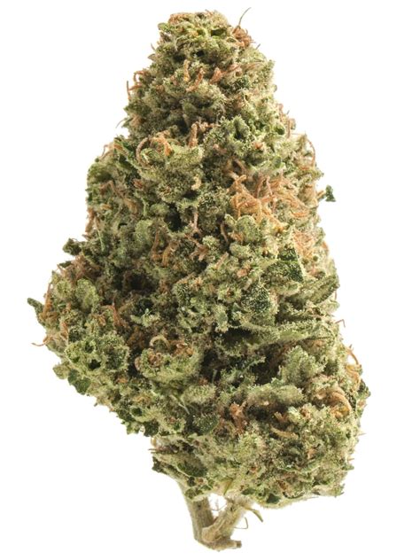 Pineapple Express Weedpedia Coupons Reviews