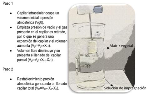 Funcionamiento Base Del Mecanismo Hidrodin Mico Hdm Fuente