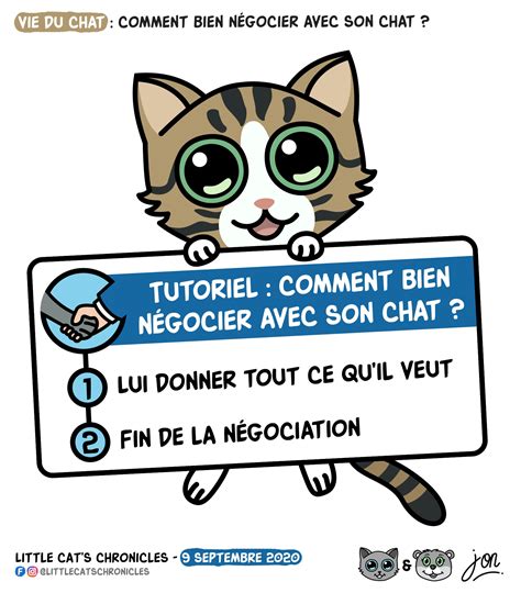 Vie du chat Comment bien négocier avec votre chat Blagues et Dessins